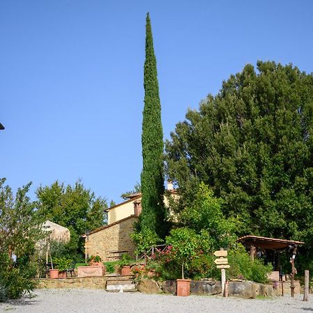 Agriturismo Borgo Sant'Ercolano 시기아노 외부 사진