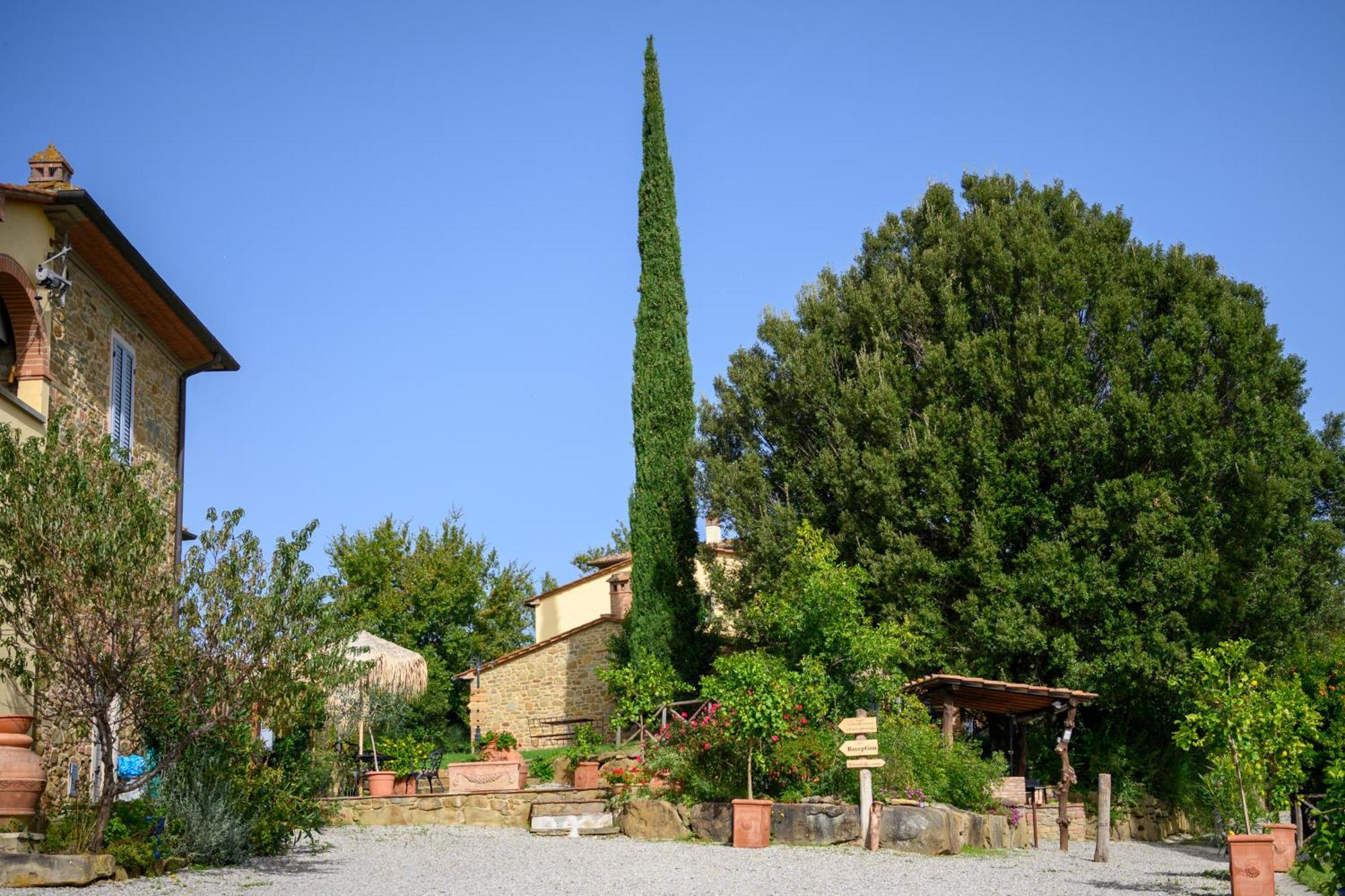 Agriturismo Borgo Sant'Ercolano 시기아노 외부 사진